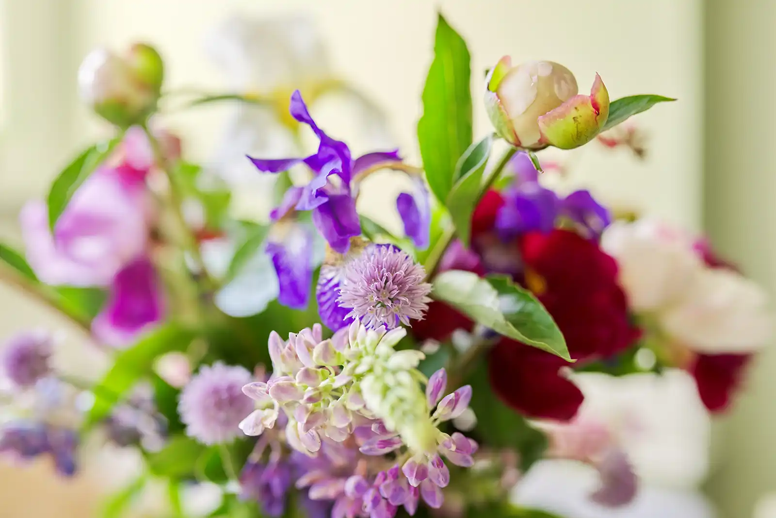 $15 off a seasonal arrangement